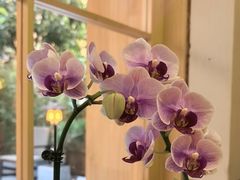-佛有缘素食馆·荔湾老字号(陈家祠首店)