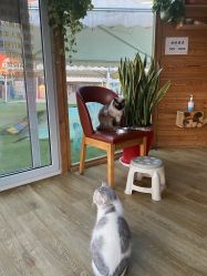 -萌宠亲子动物乐园(槐房万达店)