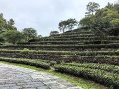 -常德桃花源景区