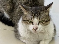 -鑫鸿达·海鲜闽菜热炒小馆(中山路店)