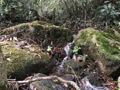 -广州市石门国家森林公园