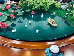 -老崇左特色风味食馆