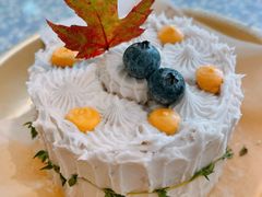 -野草莓自由市场