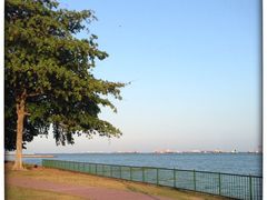 -珍宝海鲜(东海岸海鲜中心)