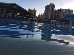 -宝安体育馆游泳馆