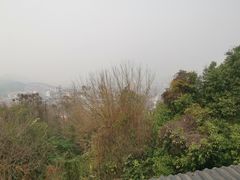 -三峡梯城