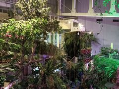 -正佳雨林生态植物园