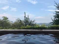 -天目湖涵田半山温泉
