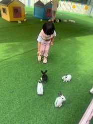 -萌宠亲子动物乐园(槐房万达店)