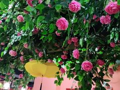 -渔香岛美蛙鱼头火锅(威清路店)