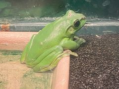 -上海大自然野生昆虫馆