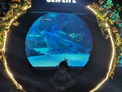 -沈阳海洋探索中心