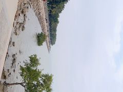 -深圳湾公园(南山区)
