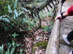 -东天目山风景区