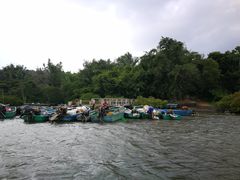 -东寨港红树林旅游区