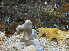 -正佳极地海洋世界