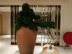-全季酒店(北京鸟巢国家会议中心店)