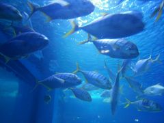 -常州海昌海洋探索馆