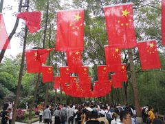 游乐设施-成都大熊猫繁育研究基地