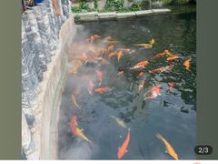 -千滋百味·醉江澜花园餐厅(街道口店)
