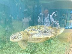 -广州海洋馆