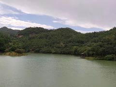 -广州白江湖森林公园