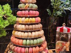 -雍容荟帝王蟹活龙虾展台自助(IFS黑金店)