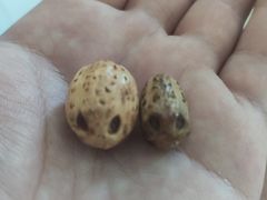 -物美大卖场(玉蜓桥店)
