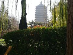-玲珑塔公园