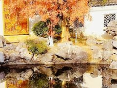 -八大山人梅湖景区