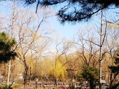-玲珑塔公园