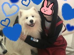 -星多哈·狗咖·拼豆·咖啡