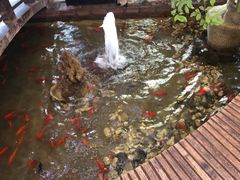 -弘医堂中医院