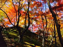 -常寂光寺