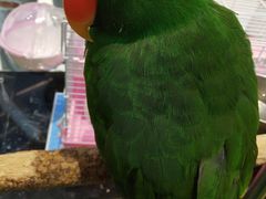 -青岛东方影都融创水世界