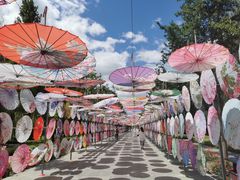 -野鸭湖国家湿地公园