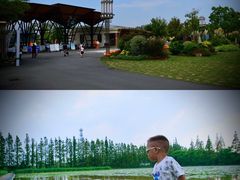 -上海长兴岛郊野公园