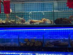 -阿湾楼·温州海鲜·江浙菜(京江路店)