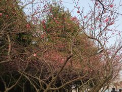 -白塘生态植物园