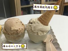 凤凰单枞乌龙茶雪糕-歎雪糕低糖低脂Gelato冰淇淋