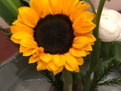 -一品豆花(光谷天地店)