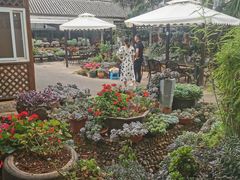 -山菌美食苑(振兴路店)