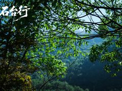 -石台牯牛降景区