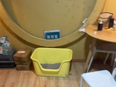 -白兔子密室(长寿路店)