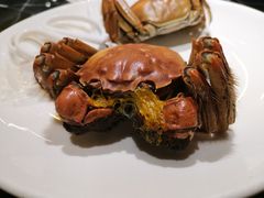-稻香饭店(IFS国金中心店)