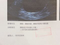 -半岛宠物医院24小时(科华中路店)