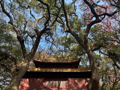 -普陀山风景名胜区-法雨禅寺
