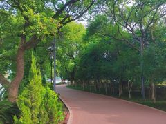 -南昌青山湖风景区