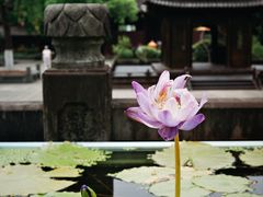 -钱王祠
