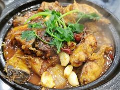 麻辣鲶鱼煲-川香煲(茅台路店)